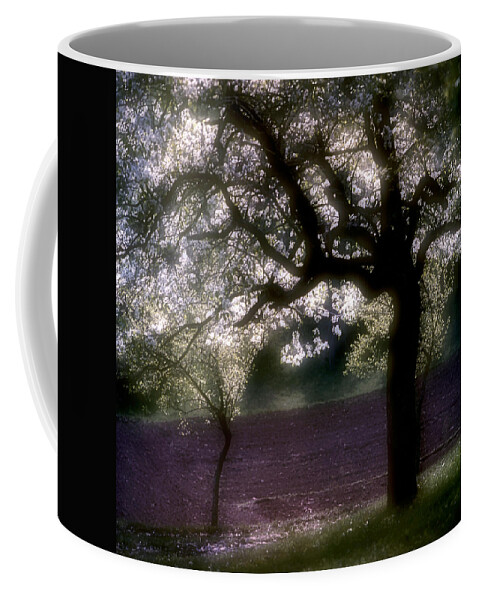 Chery Tree Coffee Mug featuring the photograph Life is a miracle. Serbia by Juan Carlos Ferro Duque
