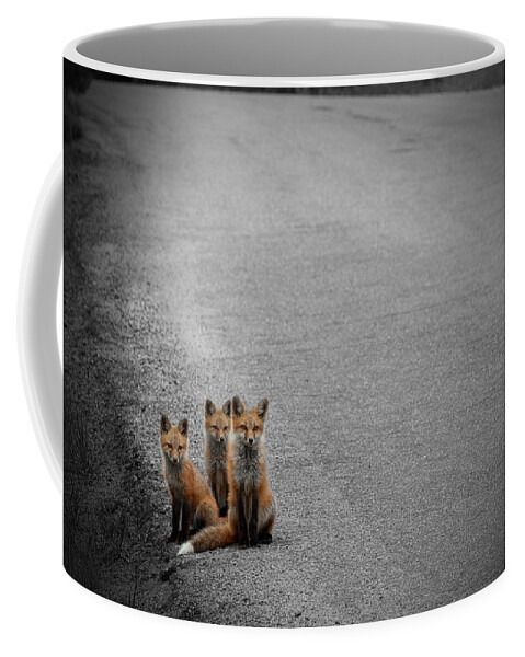 Fox Coffee Mug featuring the photograph Life is an Unknown Highway by Jim Garrison