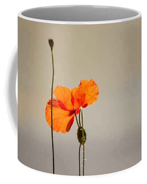 Poppy Coffee Mug featuring the photograph Life by Spikey Mouse Photography