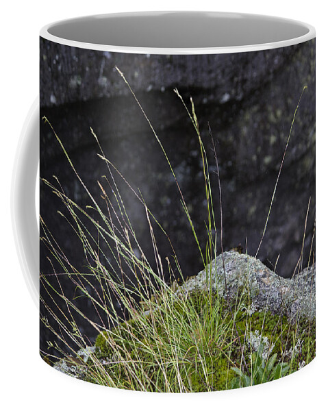 Grass Coffee Mug featuring the photograph Life on the Edge by Peter J Sucy