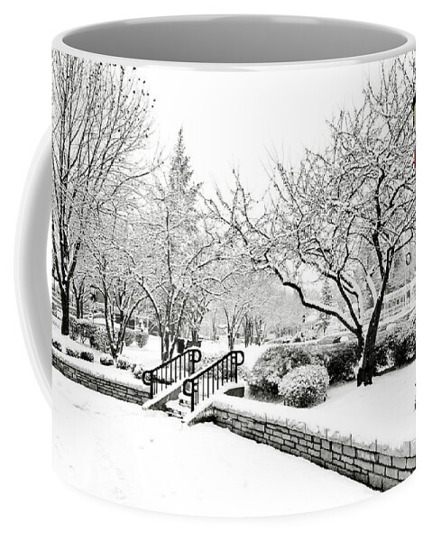 Winter Coffee Mug featuring the photograph Light in Winter by Patty Colabuono