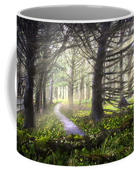 Fall Coffee Mug featuring the photograph Light on the Trail by Debra and Dave Vanderlaan