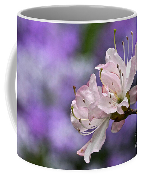 Azalea Blossom Coffee Mug featuring the photograph Light Pink Azalea Blossom With Lilac Bokeh by Byron Varvarigos
