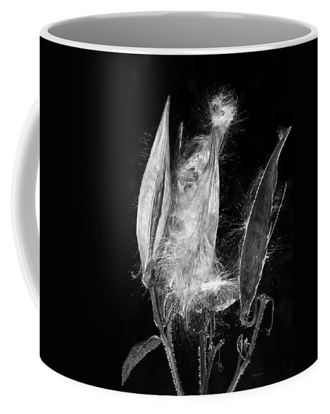 Seed Pod Coffee Mug featuring the photograph Lighted Seed Pod by Phyllis Denton
