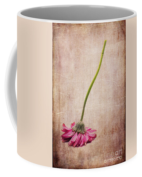Flower Coffee Mug featuring the photograph Like a Broom by Randi Grace Nilsberg
