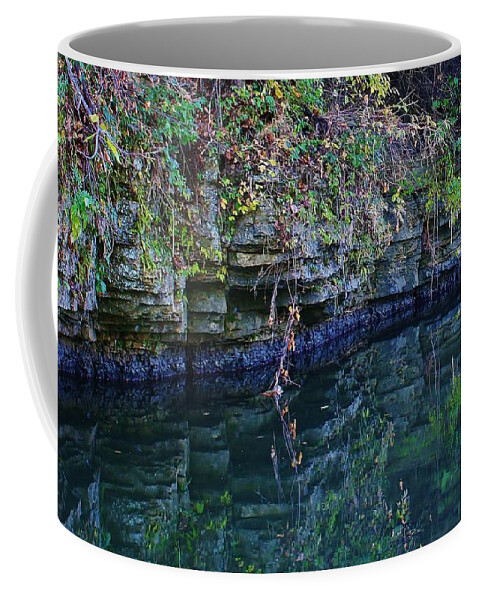 Stream Coffee Mug featuring the photograph Like Looking into a Mirror by Bruce Bley