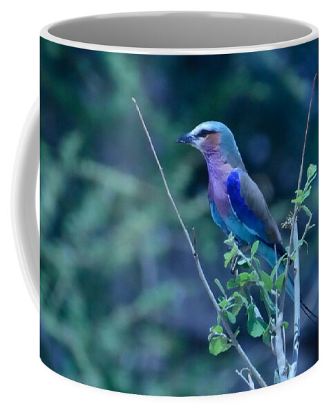 Colorful Coffee Mug featuring the photograph Lilac Breasted Roller Bird Kenya by Tom Wurl
