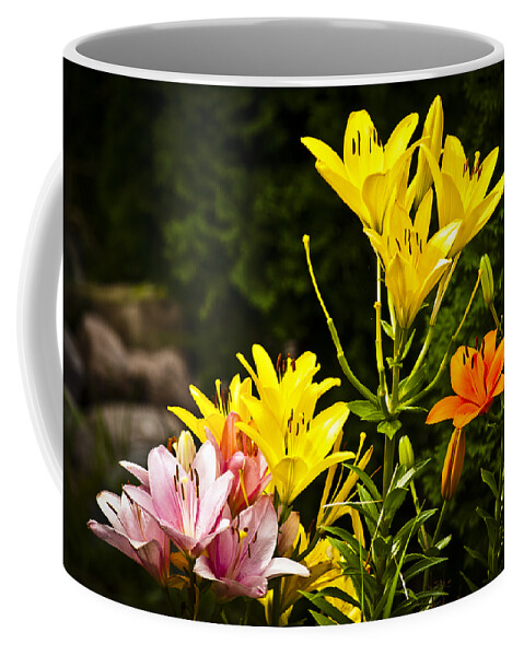 Blossom Coffee Mug featuring the photograph Lilies of the Garden by Christi Kraft