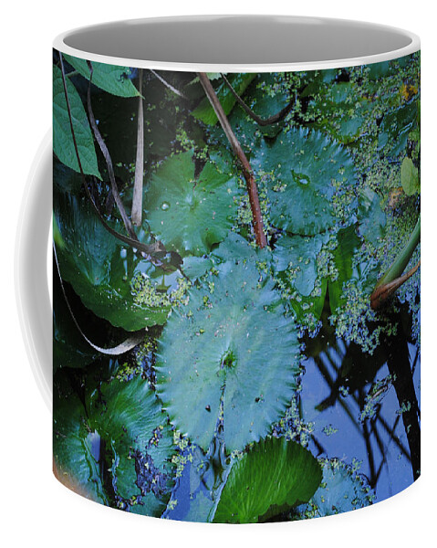 Fear Coffee Mug featuring the photograph Lillies of the Garden by George D Gordon III