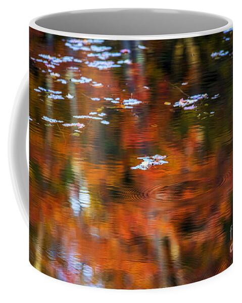 Lily Coffee Mug featuring the photograph Lily Pads by Alana Ranney