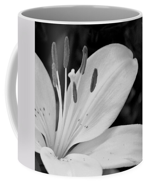 Lily Bw Coffee Mug featuring the photograph Lily BW by Maria Urso
