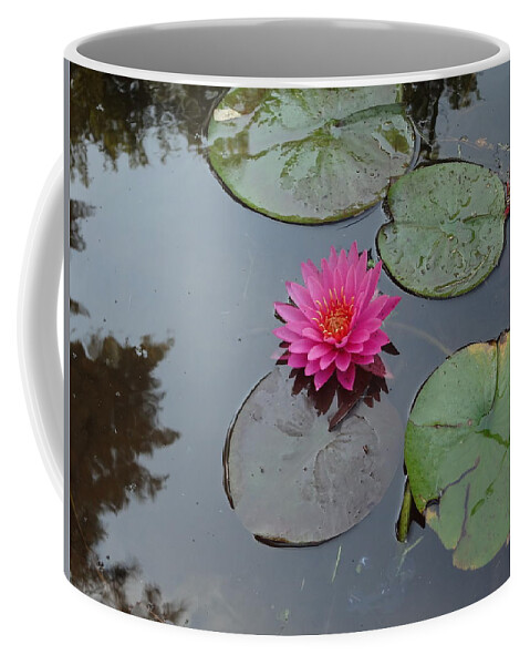 Lily Pad Coffee Mug featuring the photograph Lily Flower by Michael Porchik