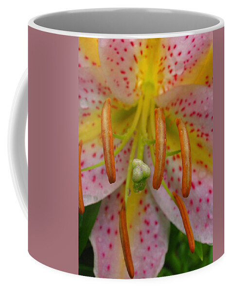 Lily Coffee Mug featuring the photograph Lily Macro by Juergen Roth