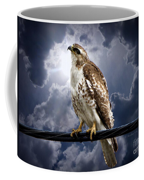 Hawk Coffee Mug featuring the photograph Listening to Gaia by Heather King