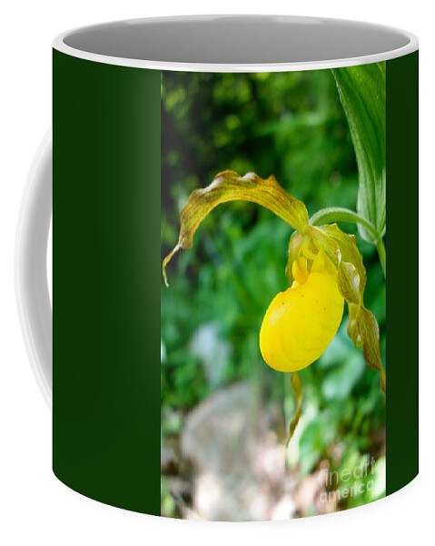 Flowing Coffee Mug featuring the photograph Little Lady Slipper by Jacqueline Athmann