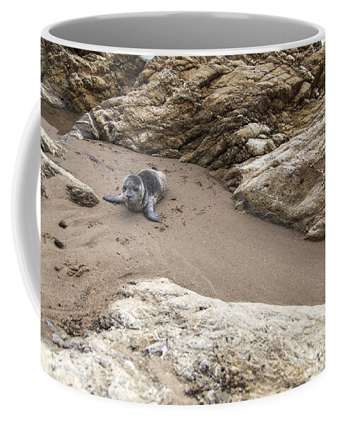 Little Things In Life Coffee Mug featuring the photograph Little things in Life by David Millenheft