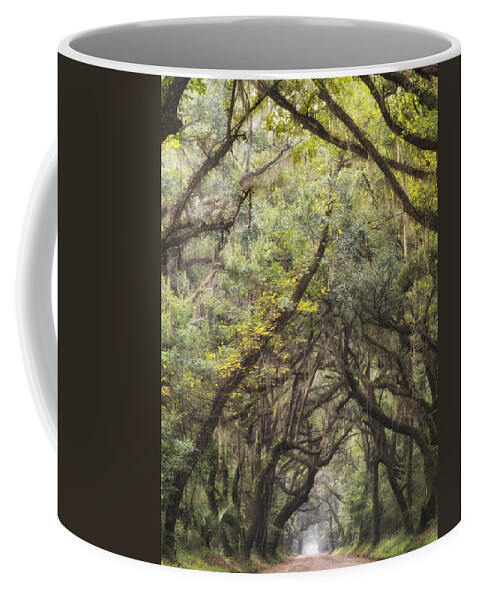 Green Coffee Mug featuring the photograph Live Oak Archway Verticle 1 by Jo Ann Tomaselli