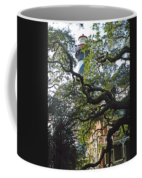 Lighthouse Coffee Mug featuring the photograph Live Oak at St. Augustine Lighthouse by Deborah Ferree