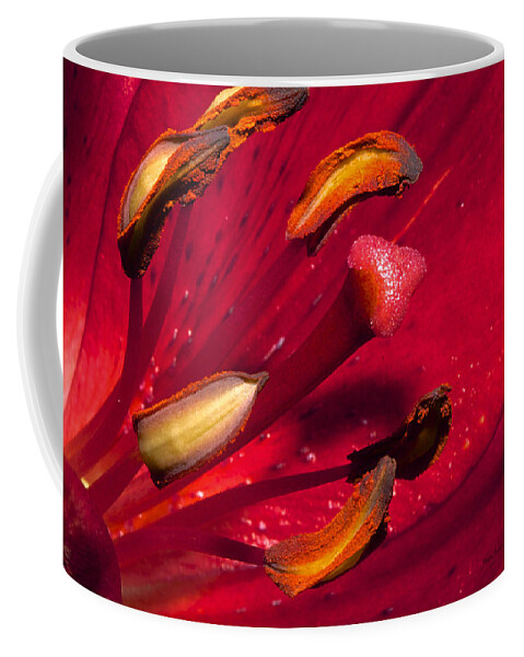 Flower Coffee Mug featuring the photograph Living Inside A Lily by Phyllis Denton