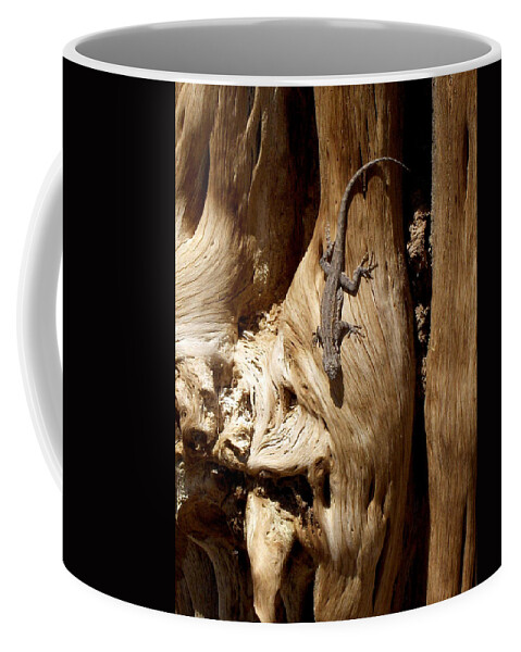 United States Coffee Mug featuring the photograph Lizard by Richard Gehlbach