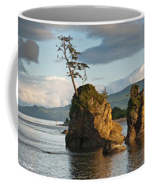 Bay Coffee Mug featuring the photograph Lone Tree on a Rock at Sunset by Jeff Goulden