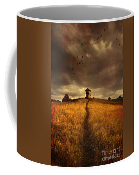 House On The Field Coffee Mug featuring the photograph Lonely house on the hill by Jaroslaw Blaminsky