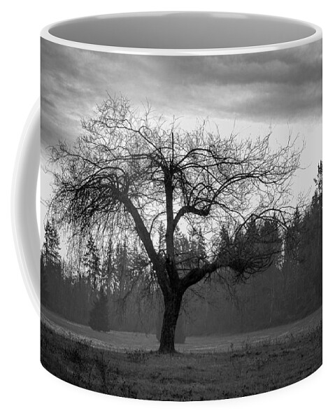 Black And White Coffee Mug featuring the photograph Lonely Tree by Ron Roberts