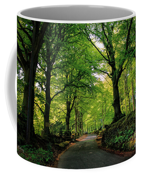 Trees Coffee Mug featuring the photograph The Long and Winding Road by Rene Triay FineArt Photos