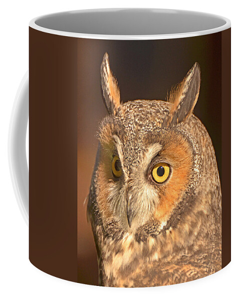 Long-eared Owl Coffee Mug featuring the photograph Long-eared Owl by Nancy Landry