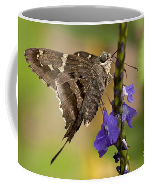 Long-tailed Skipper Coffee Mug featuring the photograph Long-tailed Skipper Photo by Meg Rousher