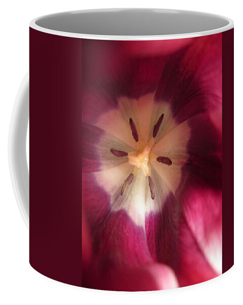 Flowers Coffee Mug featuring the photograph Look at me by Rosita Larsson