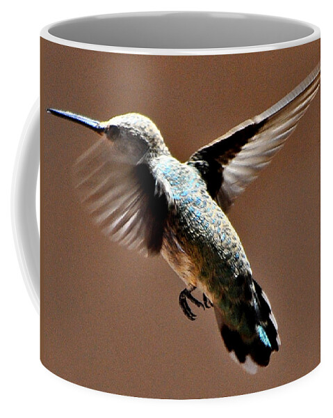 Hummigbird Coffee Mug featuring the photograph Look At My Crazy Crows Feet by Jay Milo
