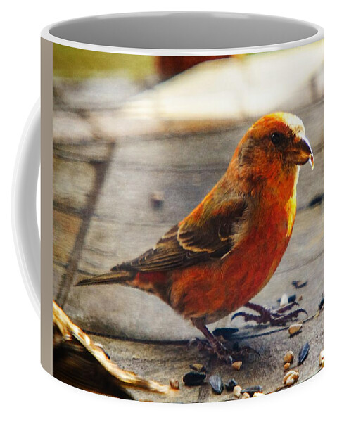 Red Crossbill Coffee Mug featuring the photograph Look - I'm a Crossbill by Robert L Jackson