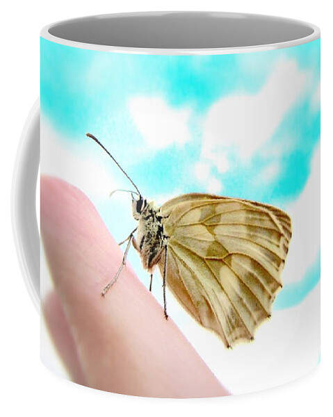 Butterfly Coffee Mug featuring the photograph Looking Back by Marianna Mills