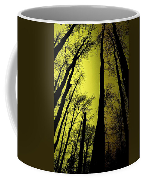 Winter Coffee Mug featuring the photograph Looking Through The Naked Trees by Jeff Swan