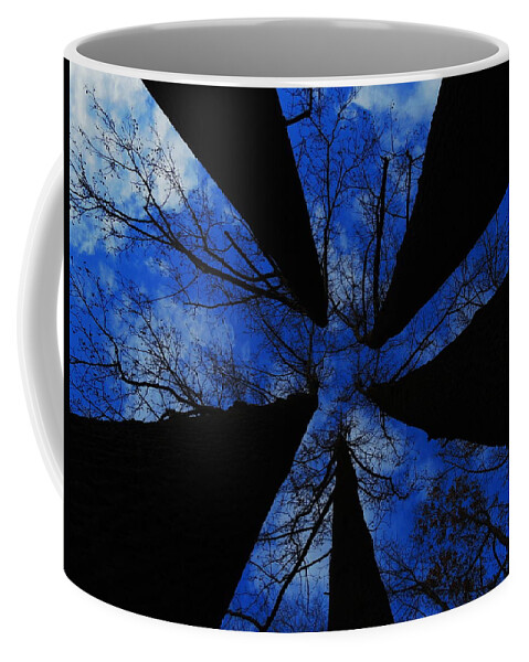 Trees Coffee Mug featuring the photograph Looking Up by Raymond Salani III