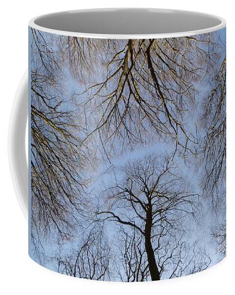 Up Coffee Mug featuring the photograph Looking Up by Vicki Spindler