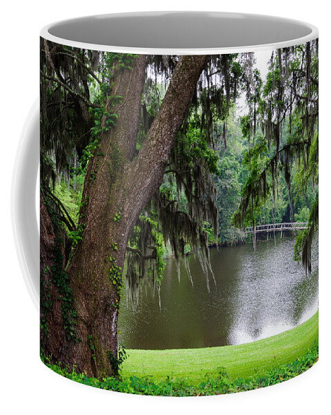 Charleston Coffee Mug featuring the photograph Lost bridge by John Johnson