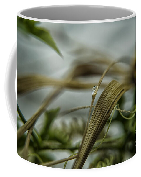 Michelle Meenawong Coffee Mug featuring the photograph Lost Drop by Michelle Meenawong