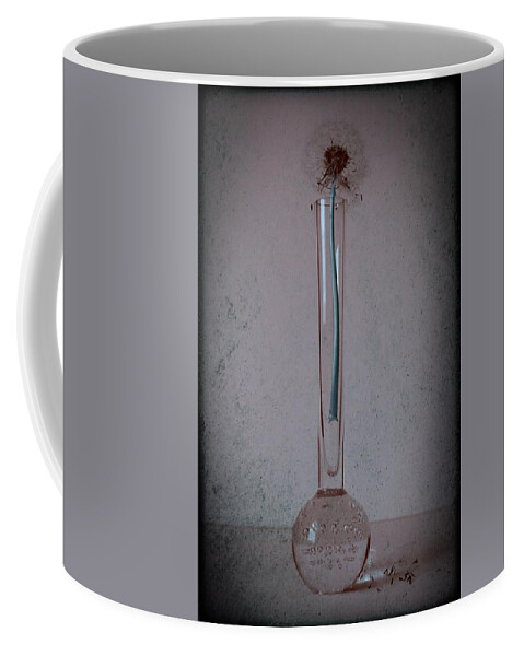 Dandelion Coffee Mug featuring the photograph Fallen Wishes by Marianna Mills