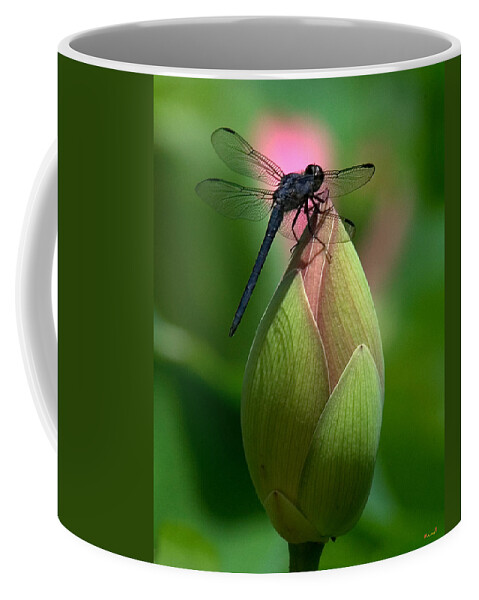 Lotus Bud Coffee Mug featuring the photograph Lotus Bud and Slatey Skimmer Dragonfly DL006 by Gerry Gantt