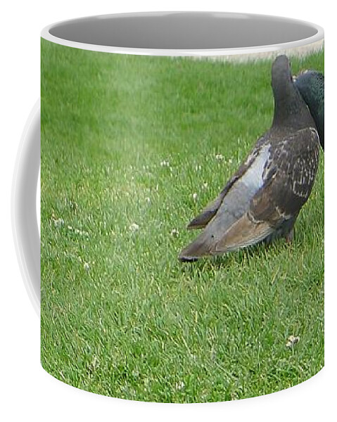 Oc Coffee Mug featuring the photograph Love Birds - Lean On Me by Nora Boghossian
