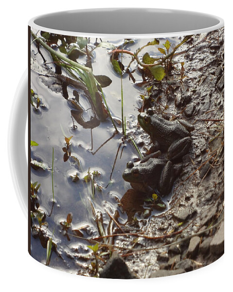 Frog Coffee Mug featuring the photograph Love Frogs by Michael Porchik