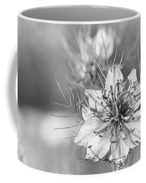 Nigella Coffee Mug featuring the photograph Love in a Mist by Caitlyn Grasso