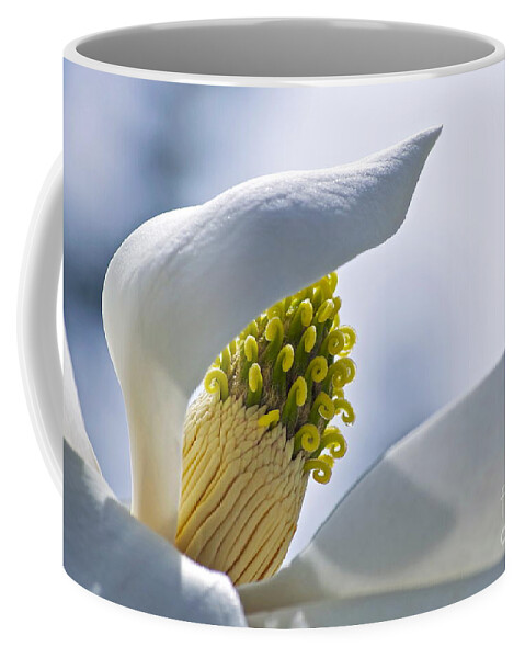 Magnolia Coffee Mug featuring the photograph Love of Nature by Gwyn Newcombe