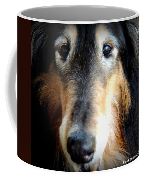 Senior Dog Coffee Mug featuring the photograph Loved by Rabiah Seminole