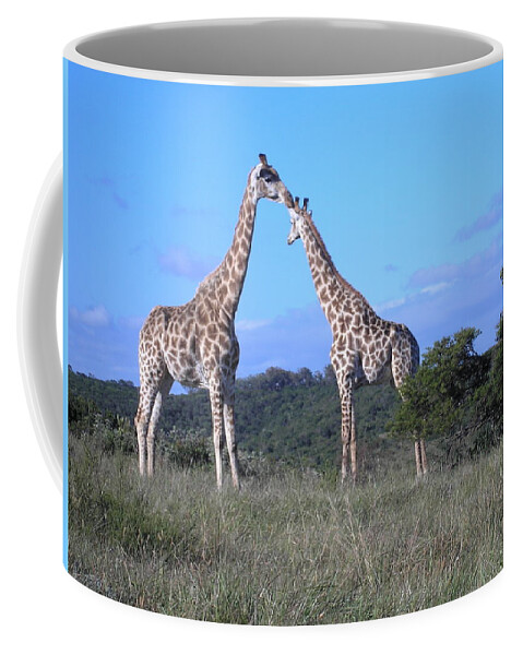 Giraffes Coffee Mug featuring the photograph Lovers on safari by Karen Jane Jones