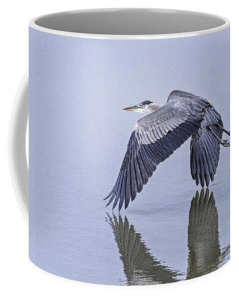 Heron Coffee Mug featuring the photograph Low Flying Heron by Peg Runyan