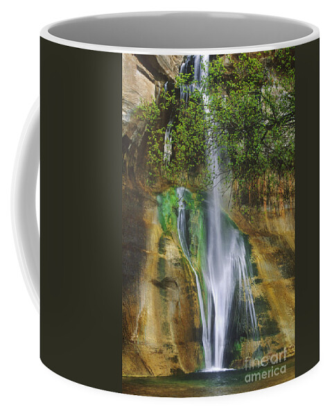 Dave Welling Coffee Mug featuring the photograph Lower Calf Creek Falls Escalante Grand Staircase National Monument Utah by Dave Welling