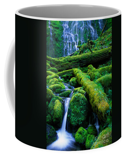 America Coffee Mug featuring the photograph Lower Proxy Falls by Inge Johnsson